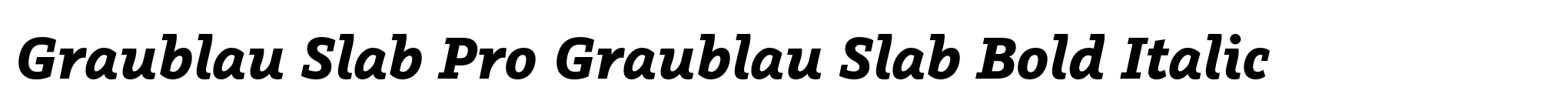 Graublau Slab Pro Graublau Slab Bold Italic image